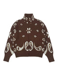 Brown Paisley