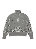Gray Paisley