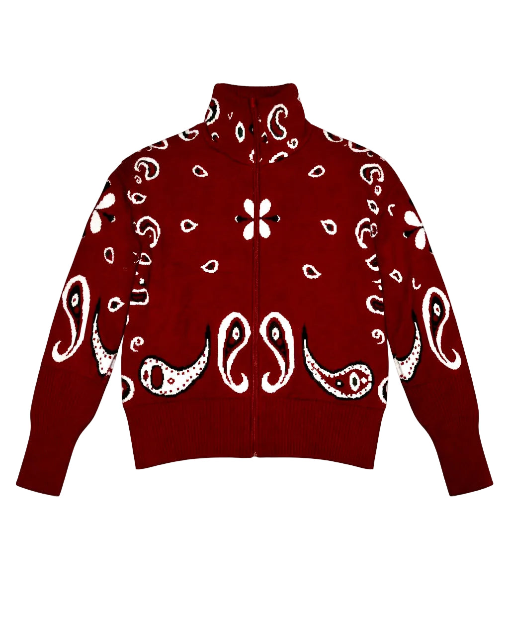 Burgundy Paisley
